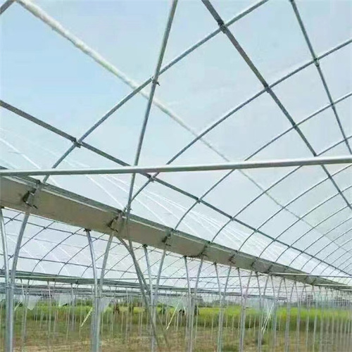 蔬菜大棚骨架在種植大棚中有怎樣的優(yōu)勢(shì)